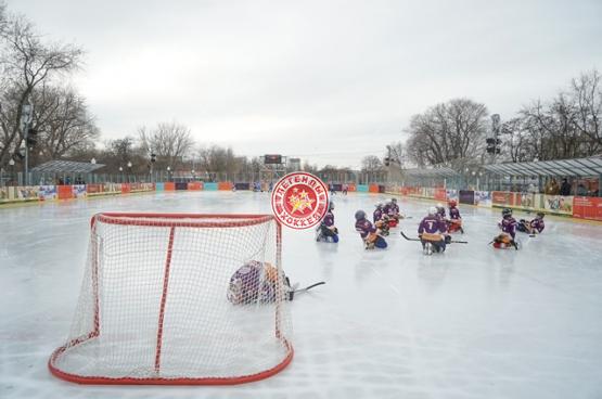 День зимних видов спорта 