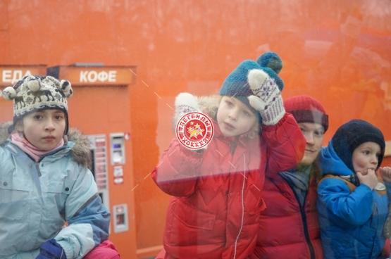 День зимних видов спорта 