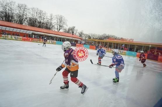 День зимних видов спорта 