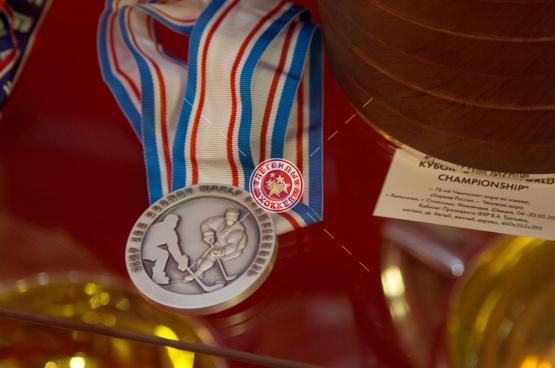 Выставка «70 лет отечественному хоккею»